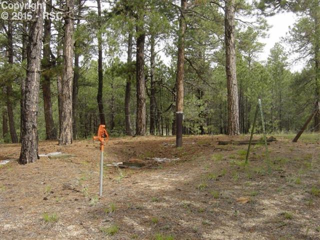 12025 Dawson Road Elbert, CO 80106 - Photo 6 of 11 Gallery Image 6