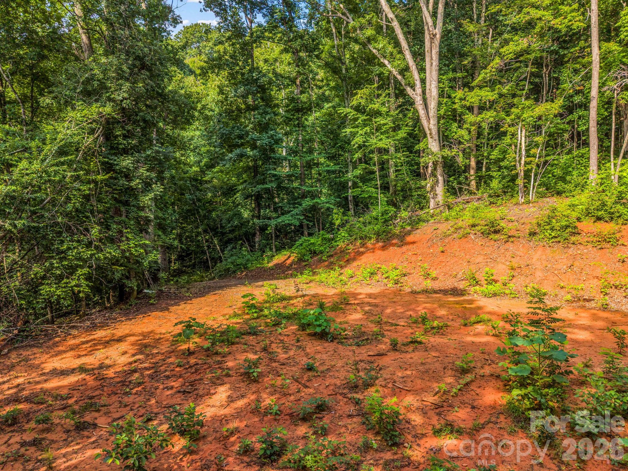 0 Patton Cove Road, Unit 6 Swannanoa, NC 28778 - Photo 4 of 31