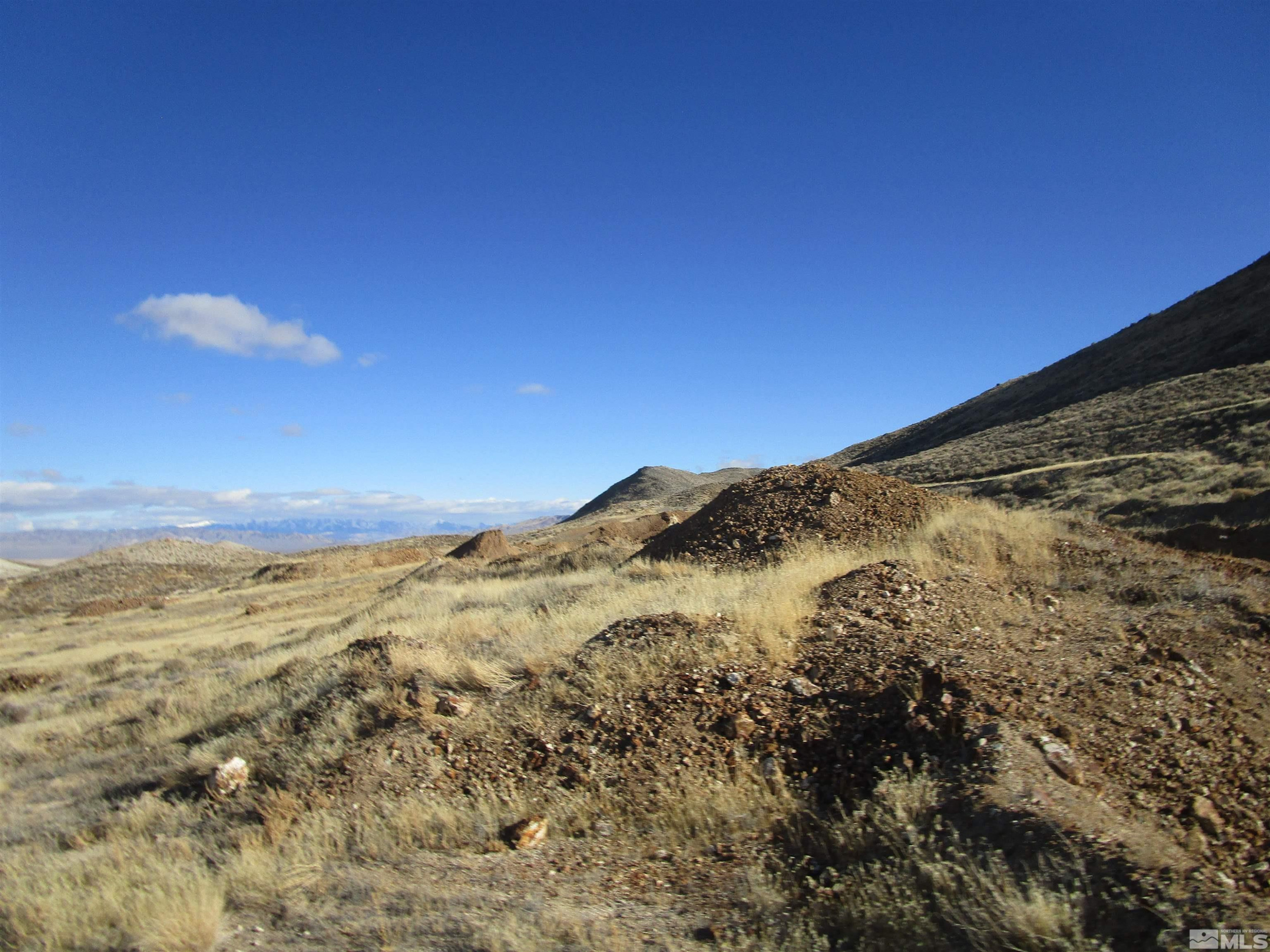 25590 Austin Highway Fallon, NV 89406 - Photo 22 of 22 Photo 24