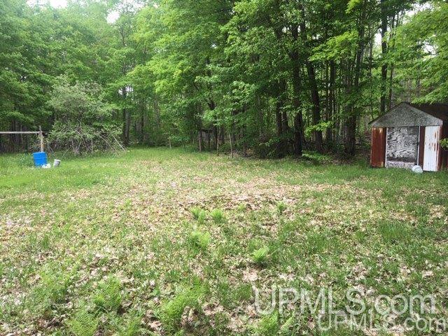 864 Niemi Road Skandia, MI 49885 - Photo 14 of 27
