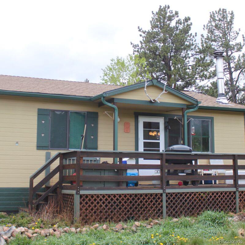 23 Green Street Bailey, CO 80421 - Photo 1 of 20
