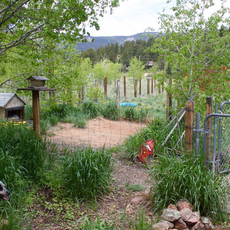 23 Green Street Bailey, CO 80421 - Photo 12 of 20