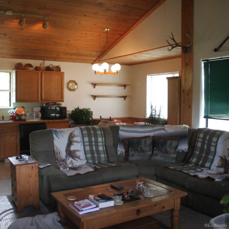 23 Green Street Bailey, CO 80421 - Photo 13 of 20