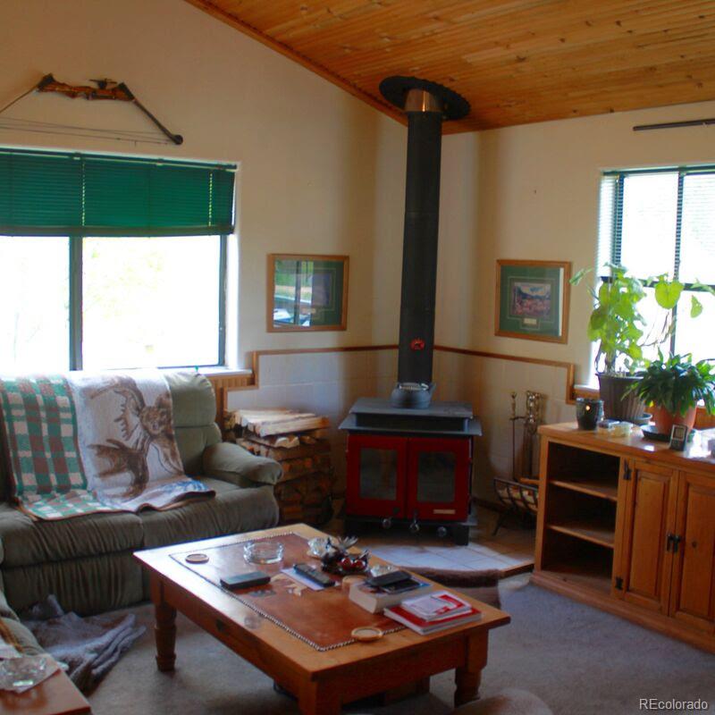 23 Green Street Bailey, CO 80421 - Photo 15 of 20