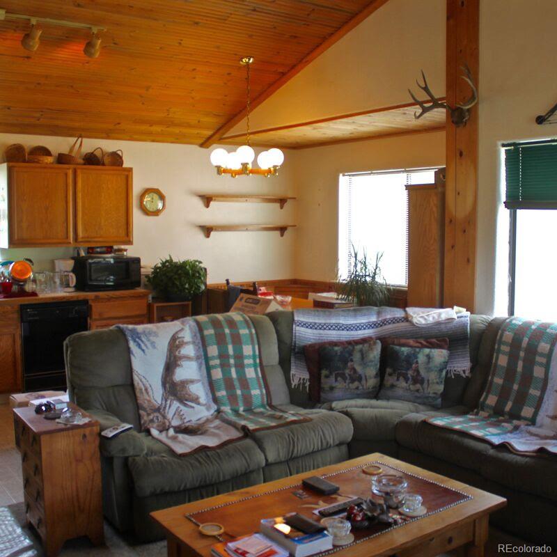 23 Green Street Bailey, CO 80421 - Photo 17 of 20