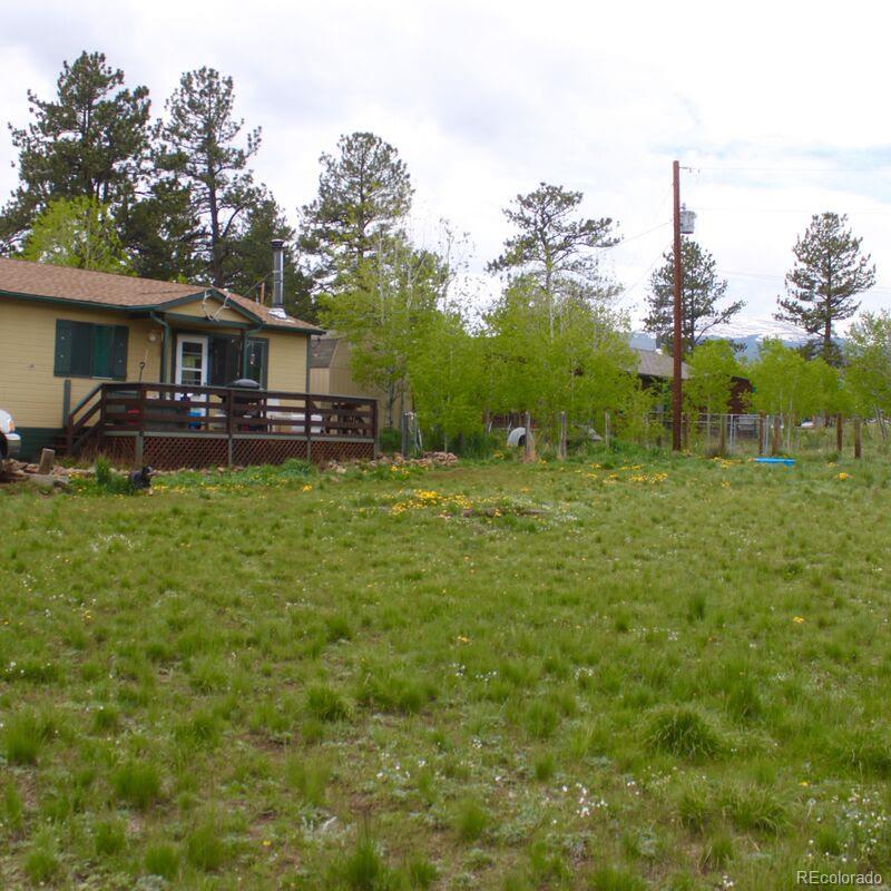 23 Green Street Bailey, CO 80421 - Photo 2 of 20