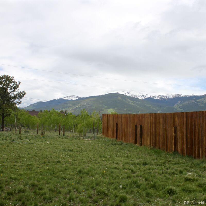 23 Green Street Bailey, CO 80421 - Photo 4 of 20
