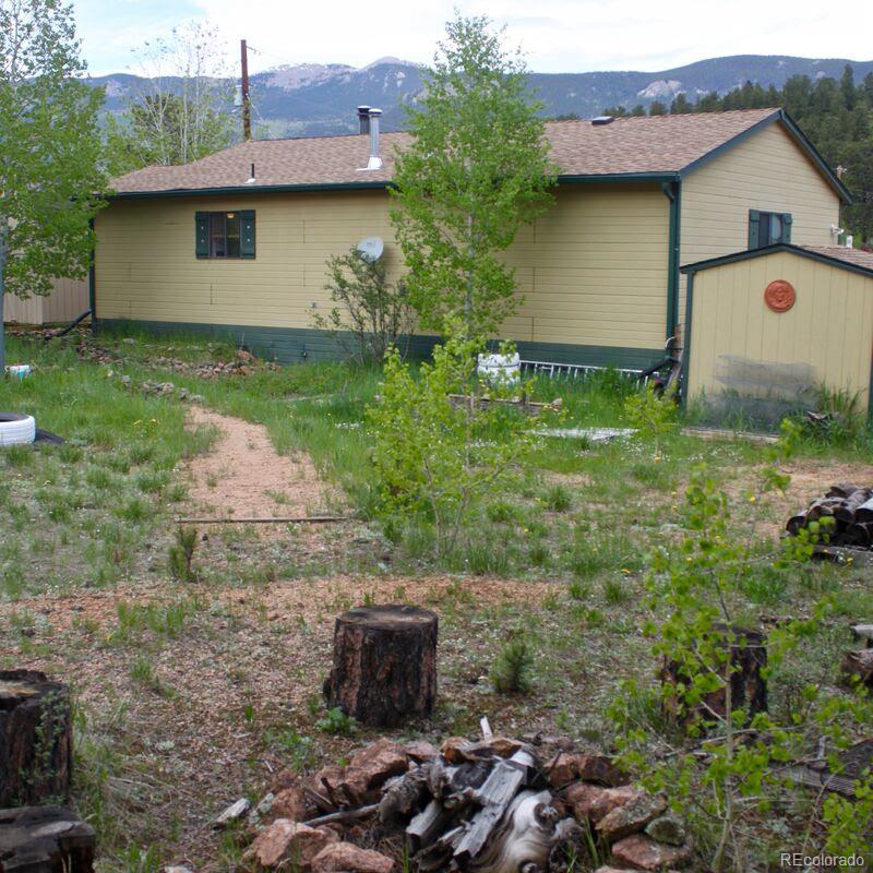 23 Green Street Bailey, CO 80421 - Photo 9 of 20
