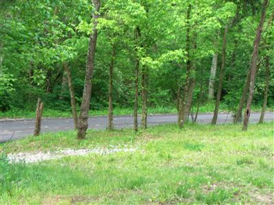 0 Victory School House Road Union, KY 41091 - Photo 7 of 7 Gallery Image 7