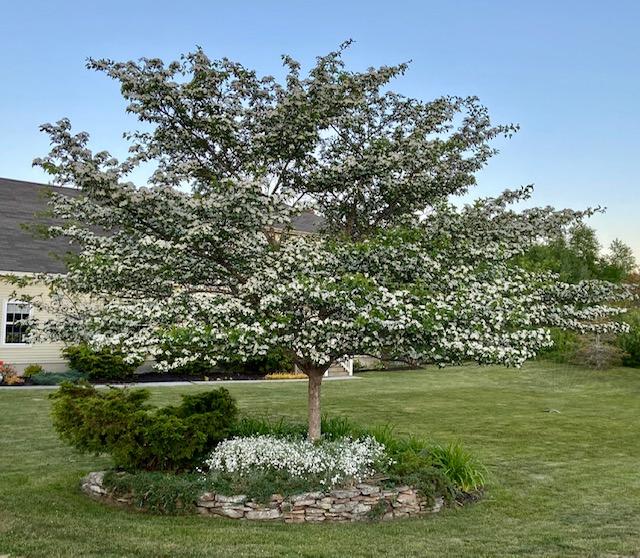 15 Larrabee Farm Road Brunswick, ME 04011 - Photo 33 of 75 IMG_3607
