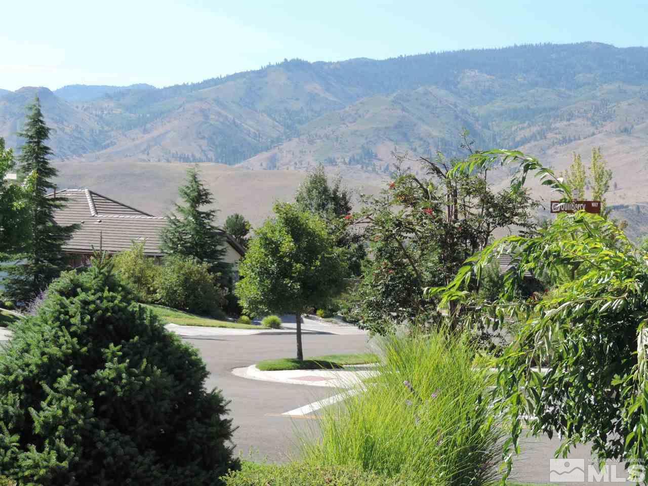 9101 Quilberry Way Reno, NV 89523 - Photo 20 of 20 a view of a street with a mountain view