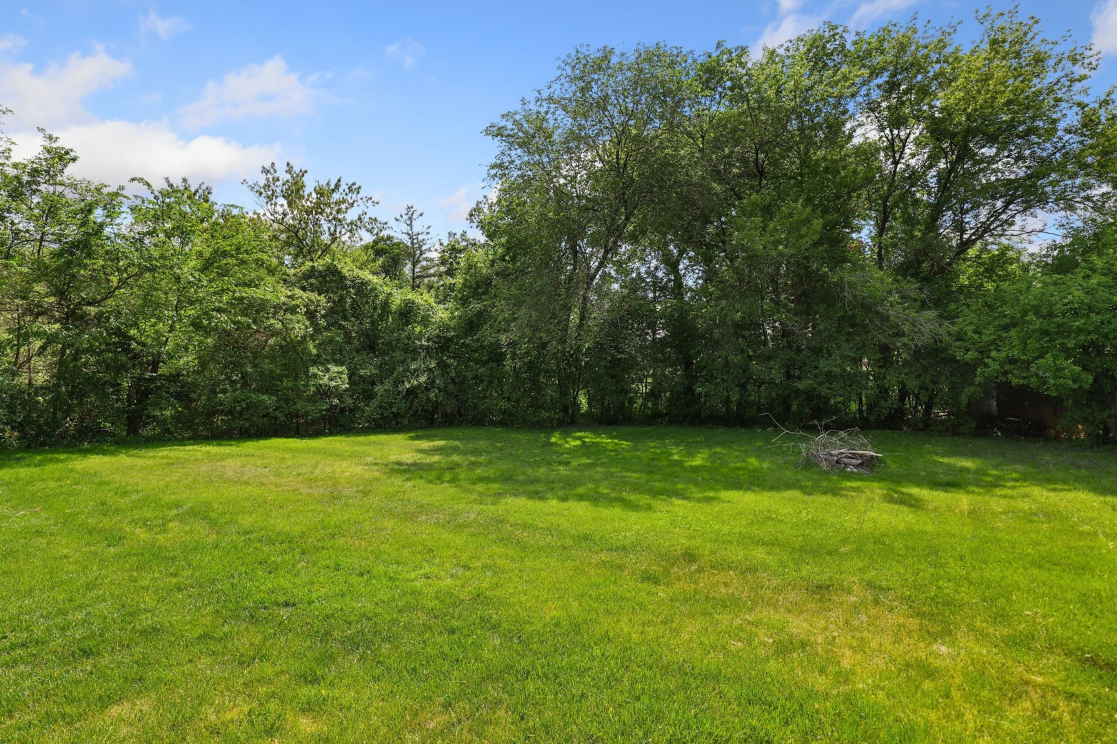 1010 South Summit Street Barrington, IL 60010 - Photo 39 of 48 a view of a field of grass and trees