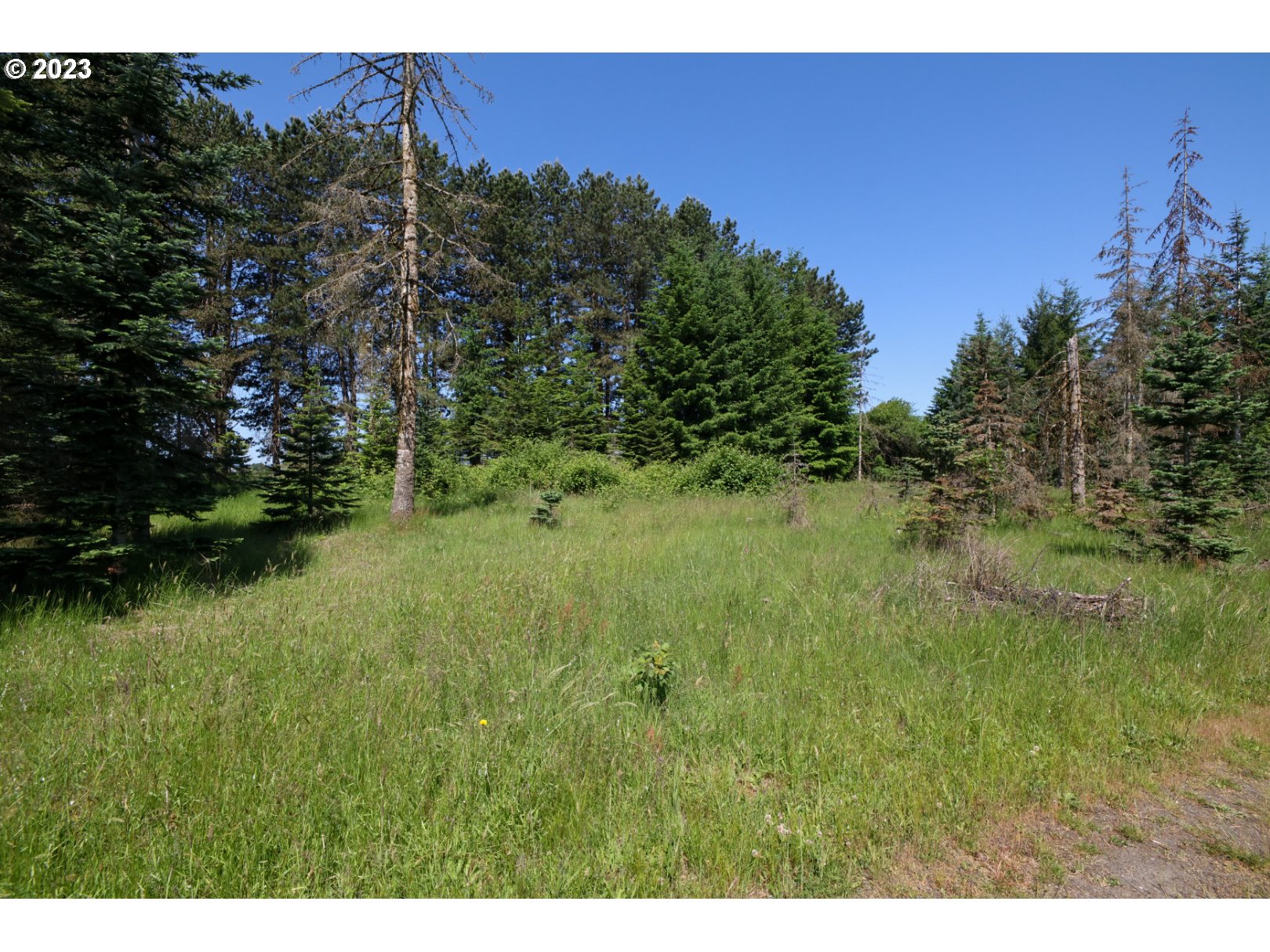 1610 Northeast 279th Street Ridgefield, WA 98642 - Photo 20 of 25 Gallery Image 20