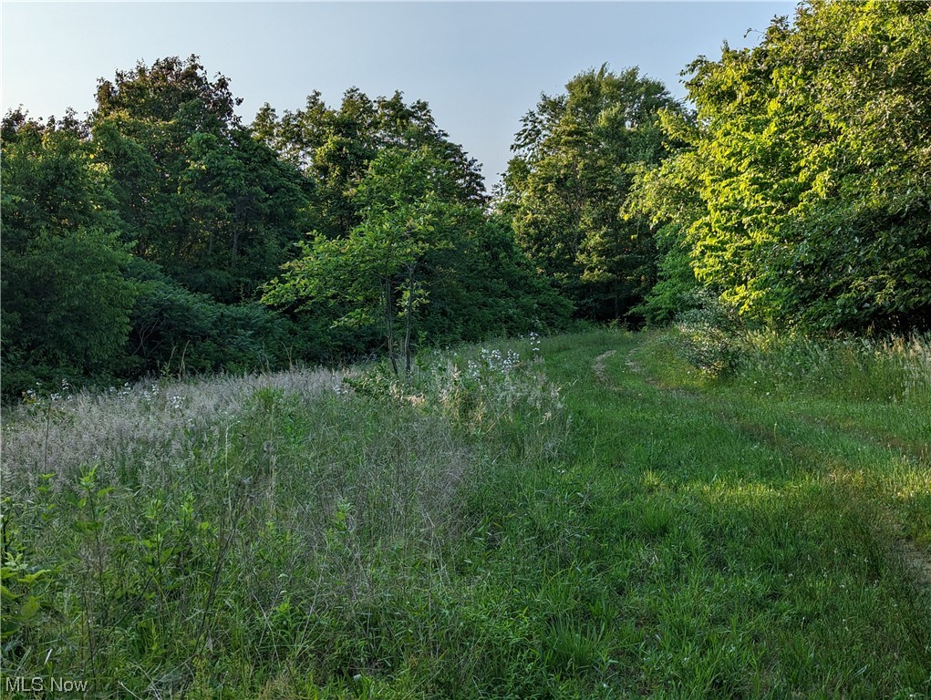 Hewitt Road Nashport, OH 43830 - Photo 20 of 32 Gallery Image 20