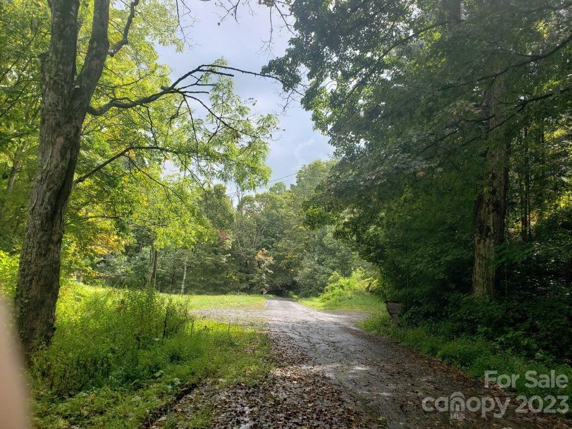 1054 Greer Hollow Road Lansing, NC 28643 - Photo 4 of 10