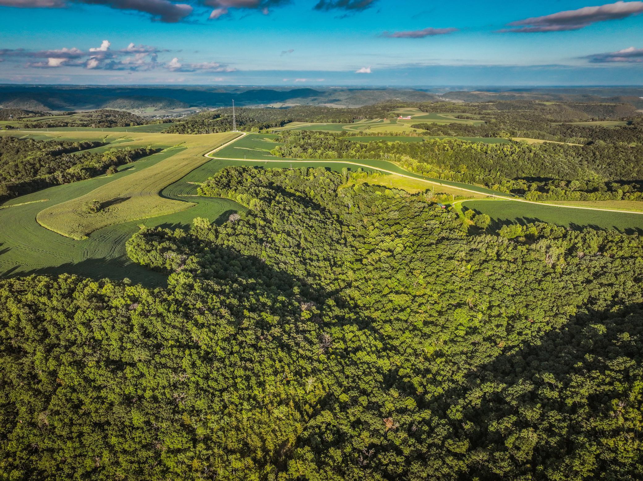 2740 Christianson Hill Road Houston, MN 55943 - Photo 4 of 91