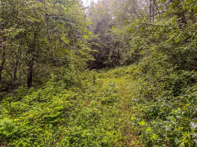 $850,000 | 2740 Christianson Hill Road, Houston, MN 55943