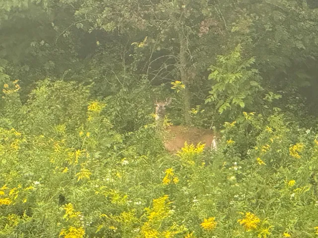 $850,000 | 2740 Christianson Hill Road, Houston, MN 55943