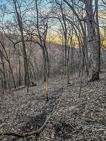 $850,000 | 2740 Christianson Hill Road, Houston, MN 55943