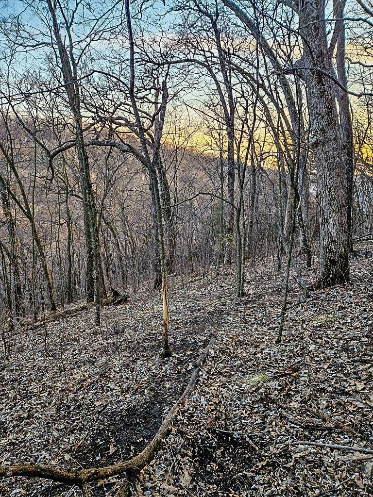 2740 Christianson Hill Road Houston, MN 55943 - Photo 68 of 91