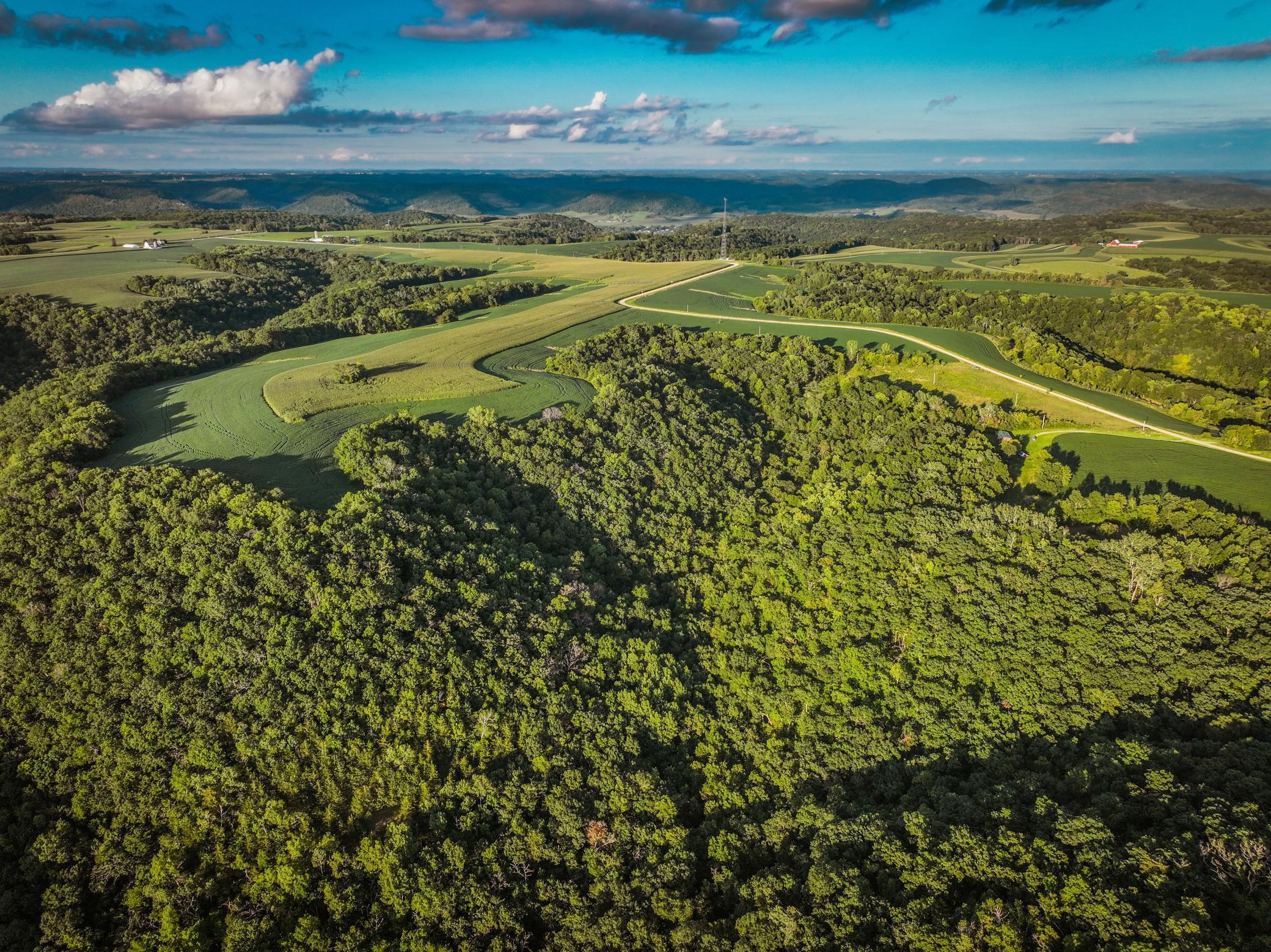 2740 Christianson Hill Road Houston, MN 55943 - Photo 74 of 91