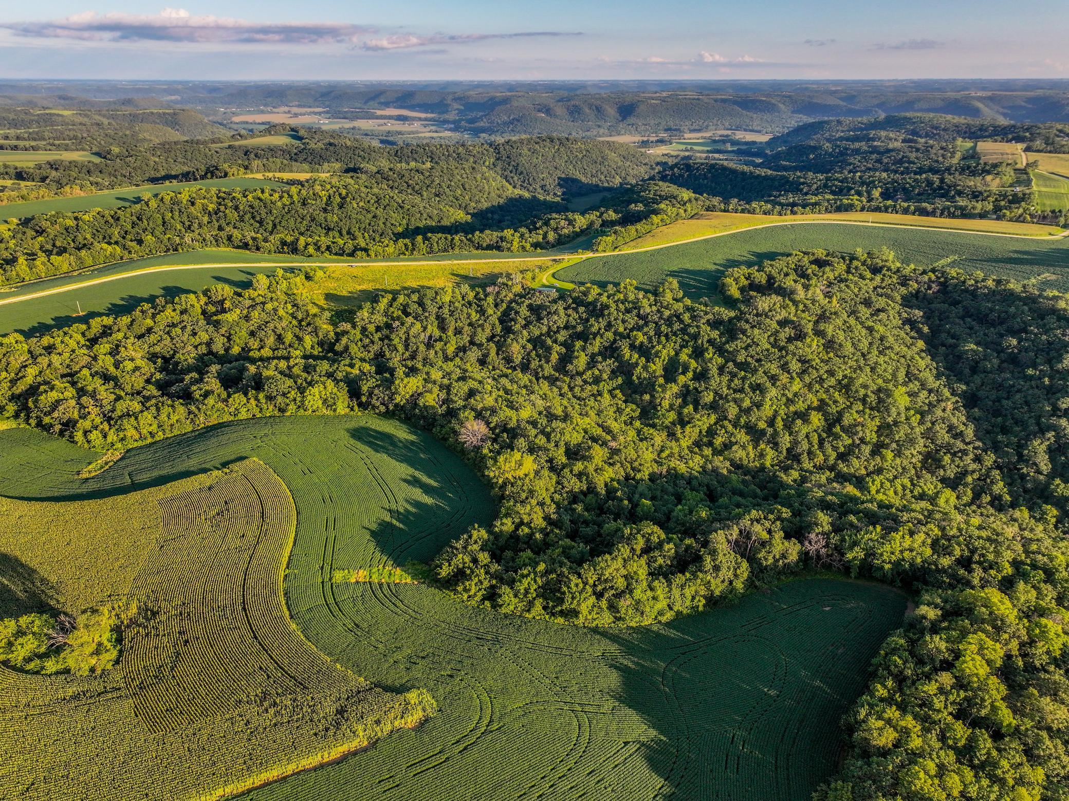 2740 Christianson Hill Road Houston, MN 55943 - Photo 76 of 91