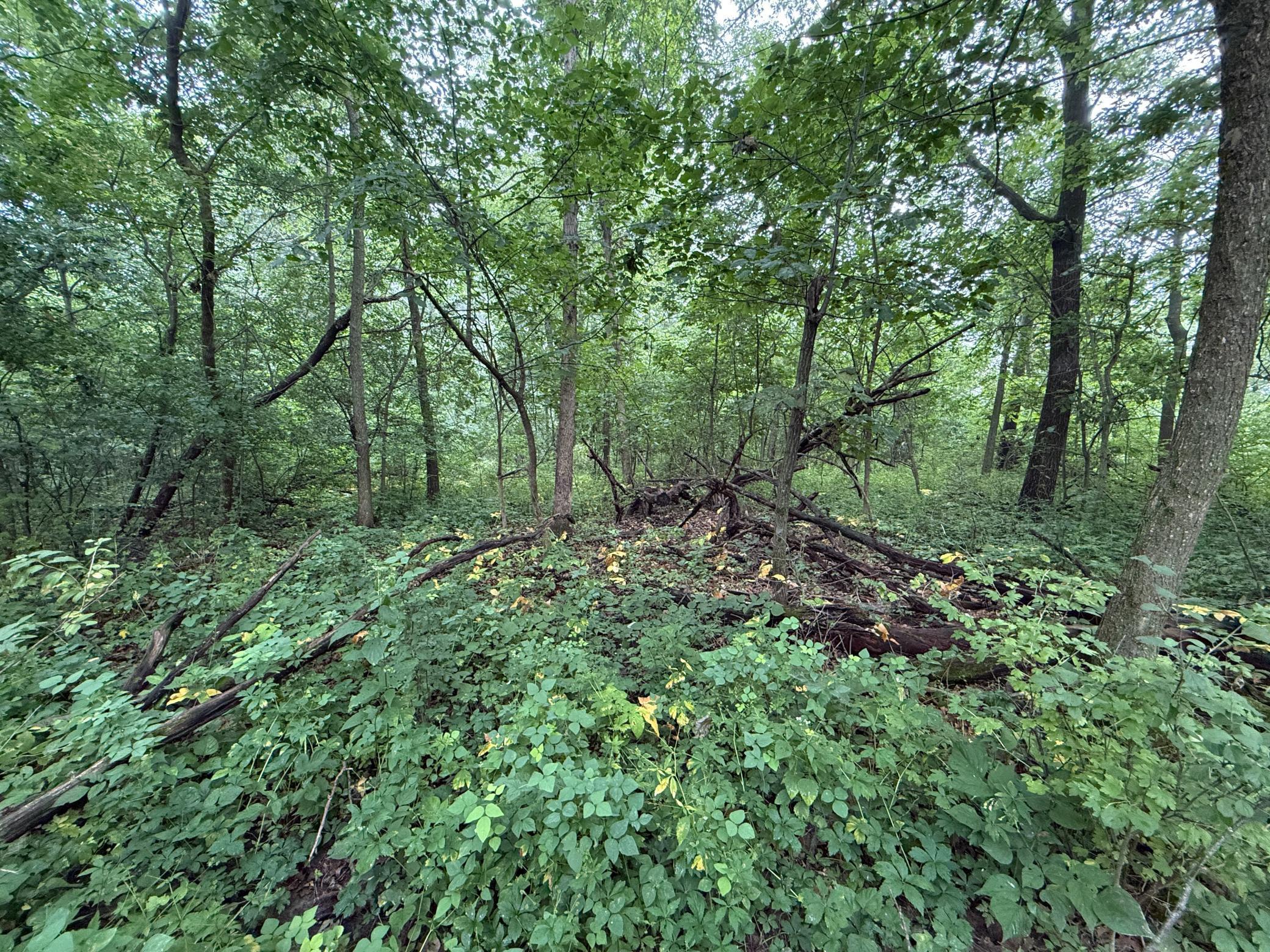 2740 Christianson Hill Road Houston, MN 55943 - Photo 77 of 91