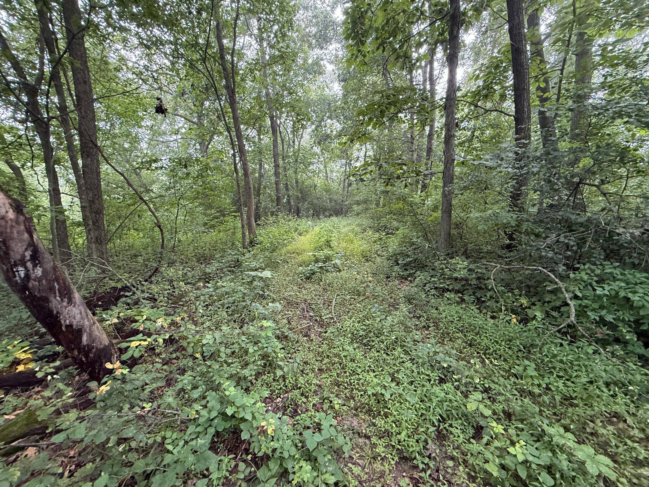 2740 Christianson Hill Road Houston, MN 55943 - Photo 78 of 91