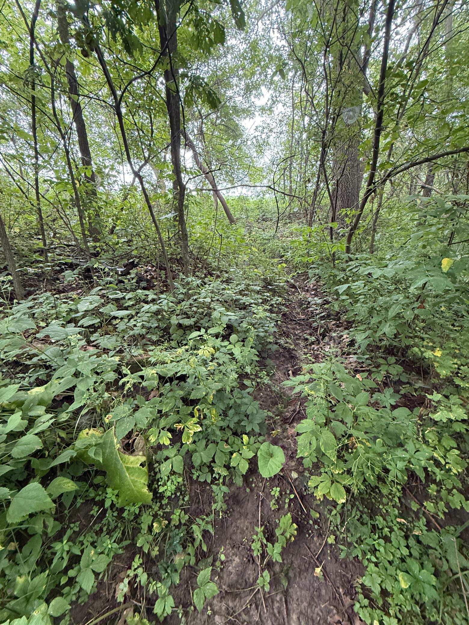 2740 Christianson Hill Road Houston, MN 55943 - Photo 79 of 91