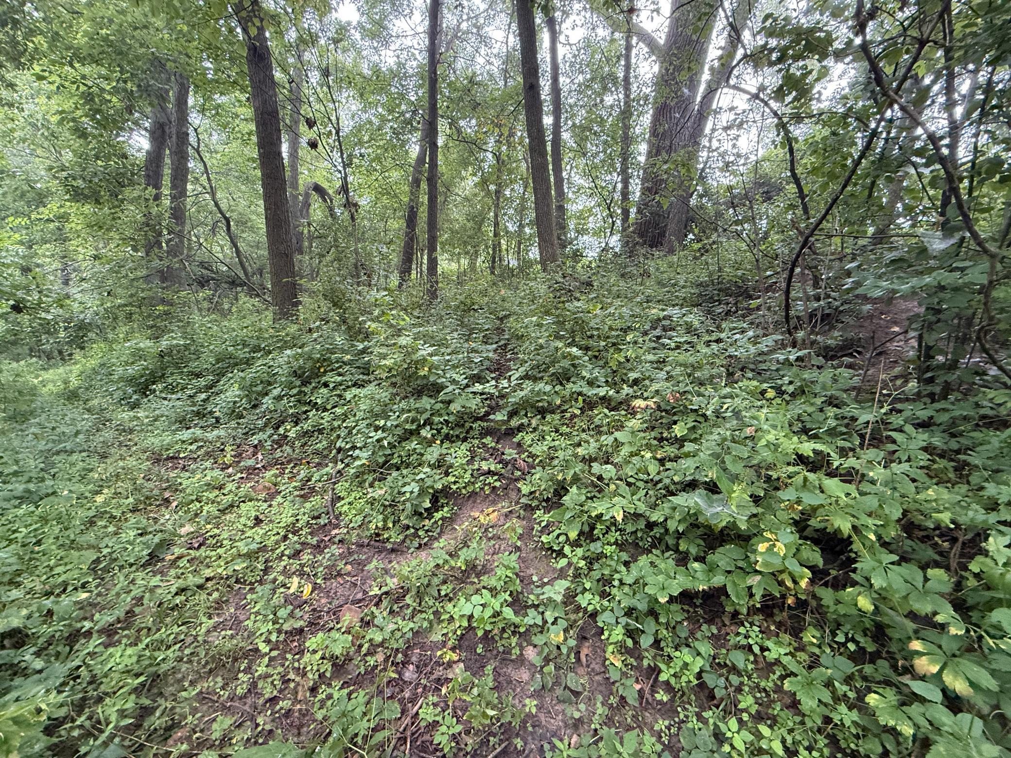 2740 Christianson Hill Road Houston, MN 55943 - Photo 81 of 91