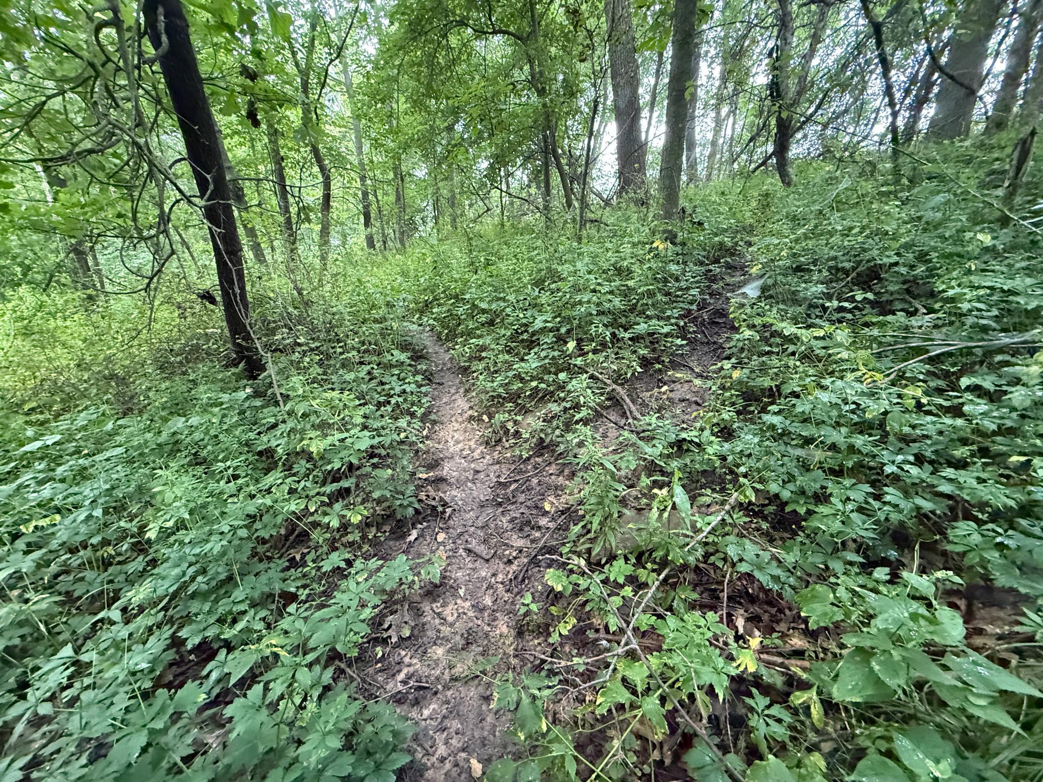 2740 Christianson Hill Road Houston, MN 55943 - Photo 82 of 91