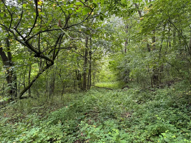 $850,000 | 2740 Christianson Hill Road, Houston, MN 55943