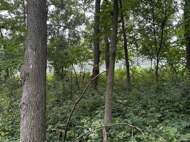 $850,000 | 2740 Christianson Hill Road, Houston, MN 55943