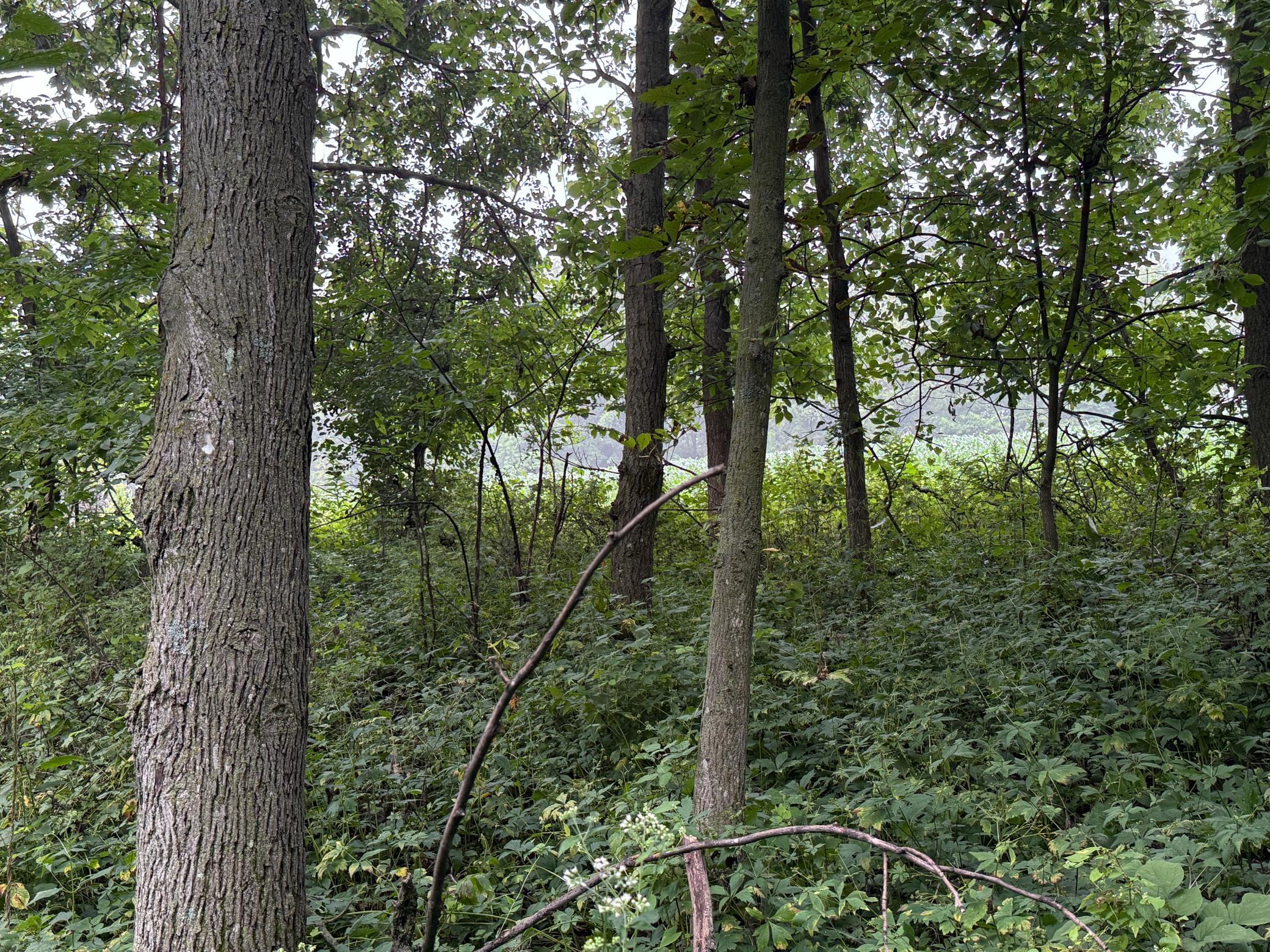 2740 Christianson Hill Road Houston, MN 55943 - Photo 84 of 91