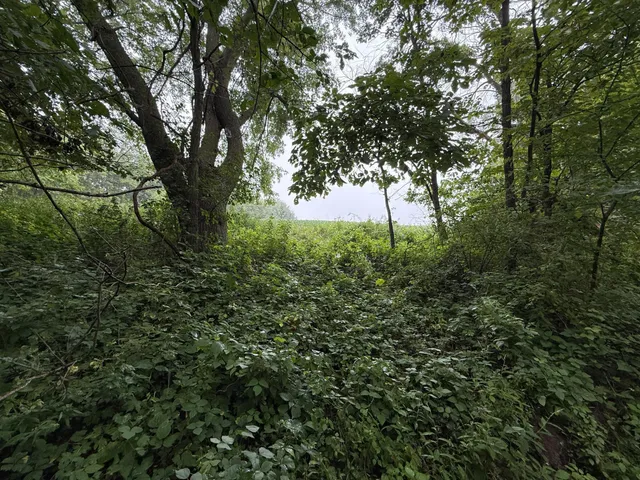 $850,000 | 2740 Christianson Hill Road, Houston, MN 55943