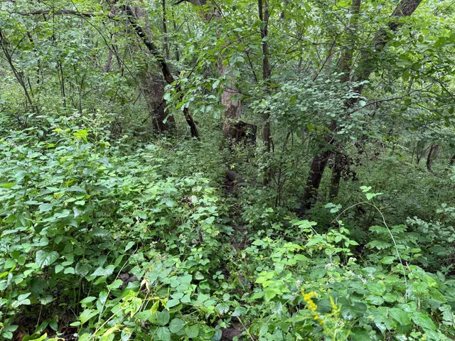 $850,000 | 2740 Christianson Hill Road, Houston, MN 55943