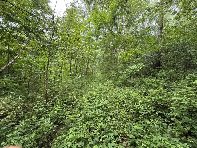 $850,000 | 2740 Christianson Hill Road, Houston, MN 55943