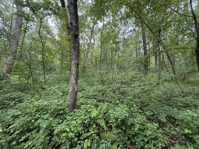 $850,000 | 2740 Christianson Hill Road, Houston, MN 55943