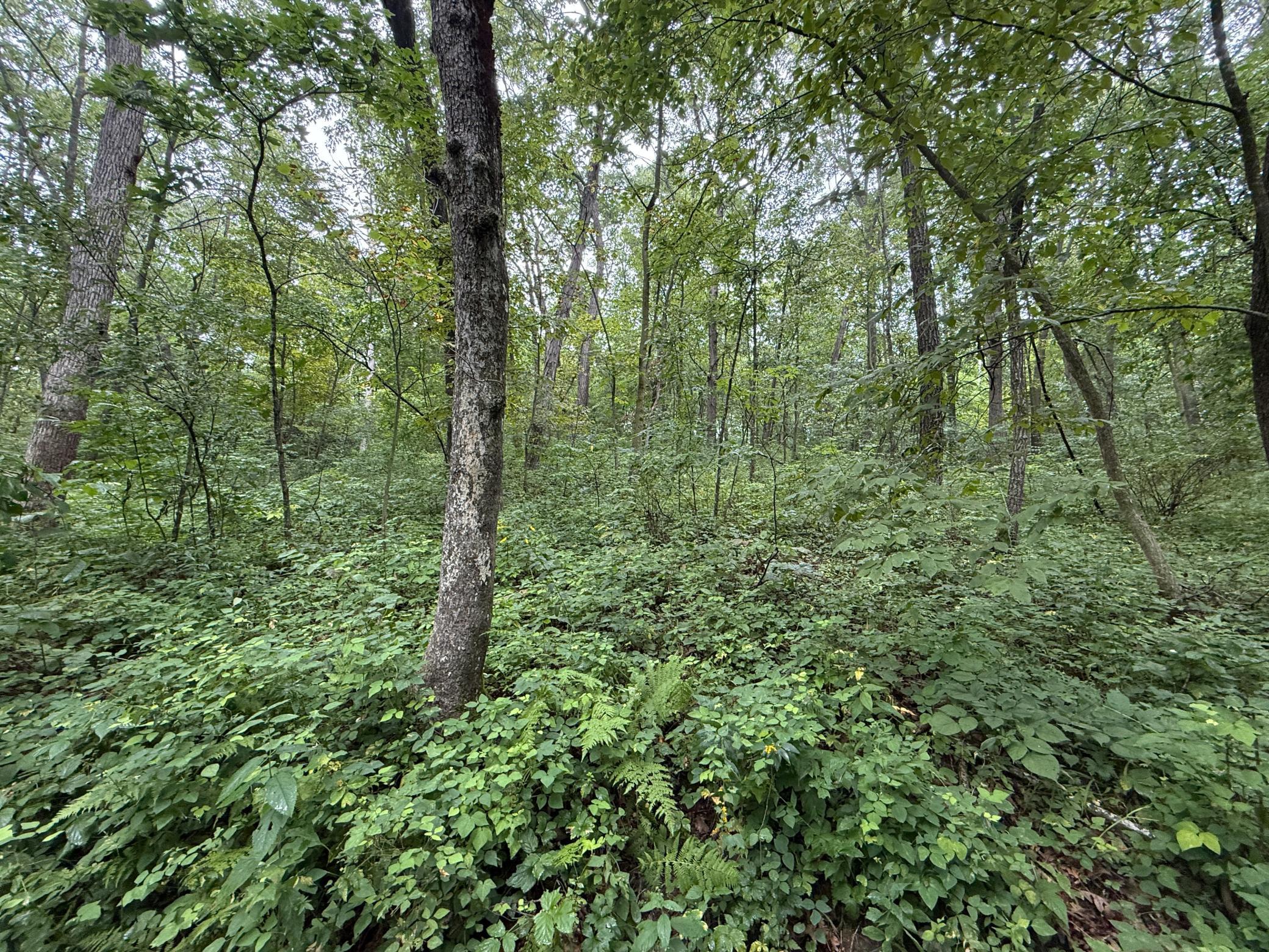 2740 Christianson Hill Road Houston, MN 55943 - Photo 89 of 91