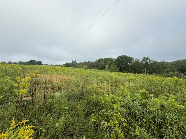 $850,000 | 2740 Christianson Hill Road, Houston, MN 55943