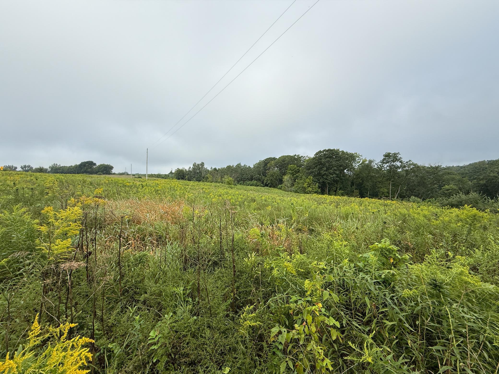 2740 Christianson Hill Road Houston, MN 55943 - Photo 90 of 91