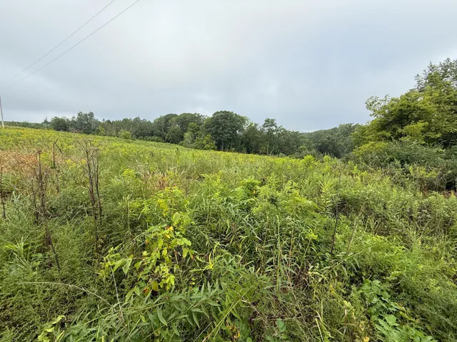 $850,000 | 2740 Christianson Hill Road, Houston, MN 55943