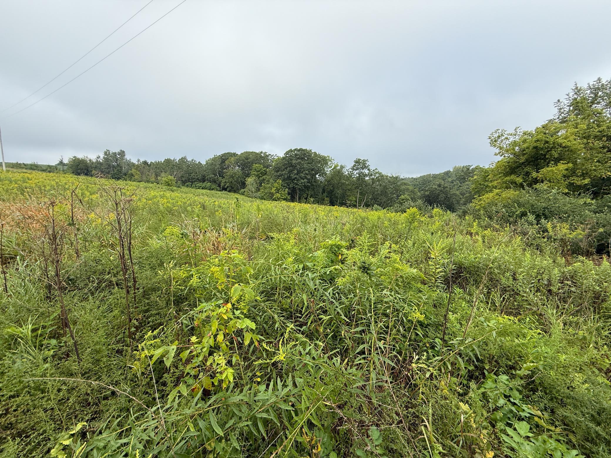 2740 Christianson Hill Road Houston, MN 55943 - Photo 91 of 91