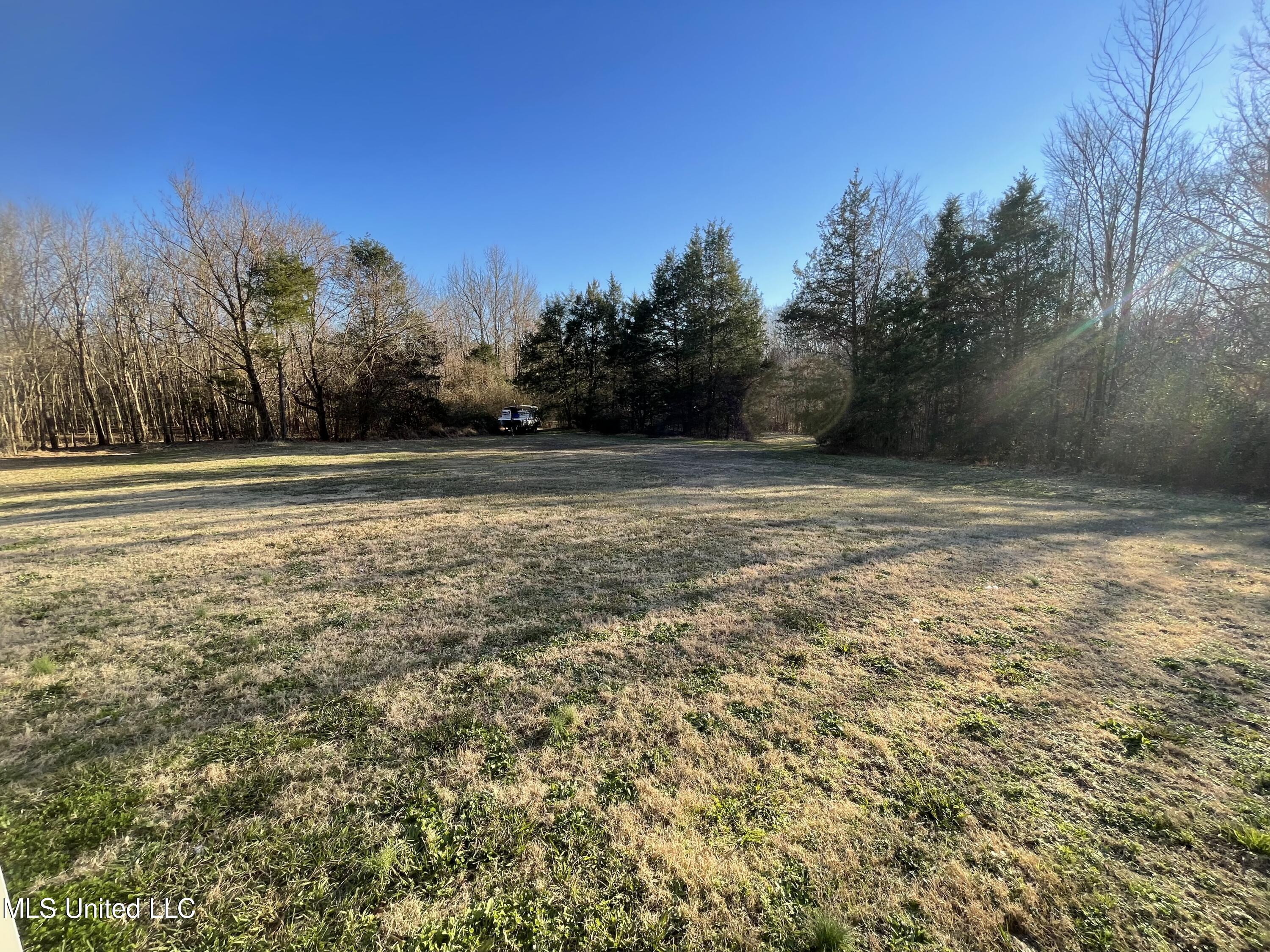 1650 Pryor Road Coldwater, MS 38618 - Photo 2 of 18 Pryor3