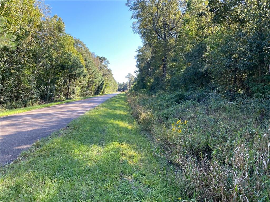 0 Goslee Road Covington, LA 70435 - Photo 4 of 6 Gallery Image 4