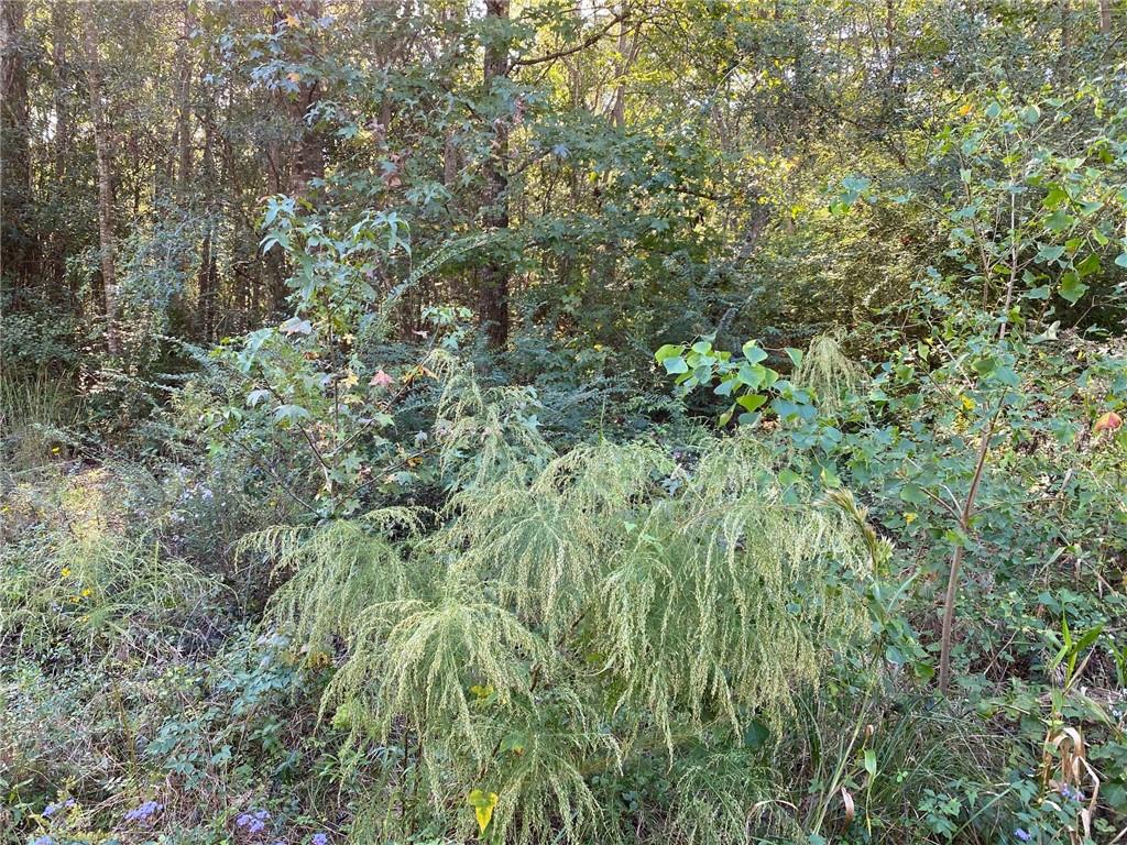 0 Goslee Road Covington, LA 70435 - Photo 5 of 6 Gallery Image 5