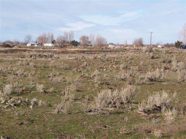 Nka North Rothrock Road, Unit LOT C3 Prosser, WA 99350 - Photo 2 of 3 LOT VIEW EAST