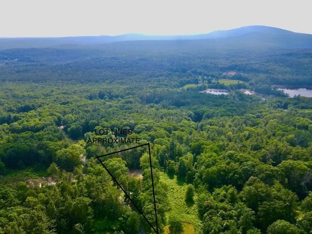 a view of a lake in middle of the forest