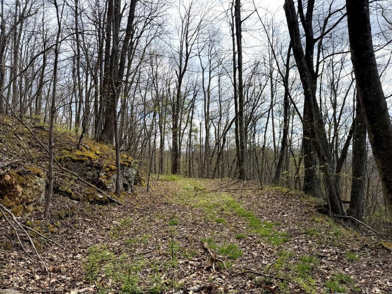 0 Iona Road White Oak, WV 25989 - Photo 47 of 150 Tract-13-IMG_3660