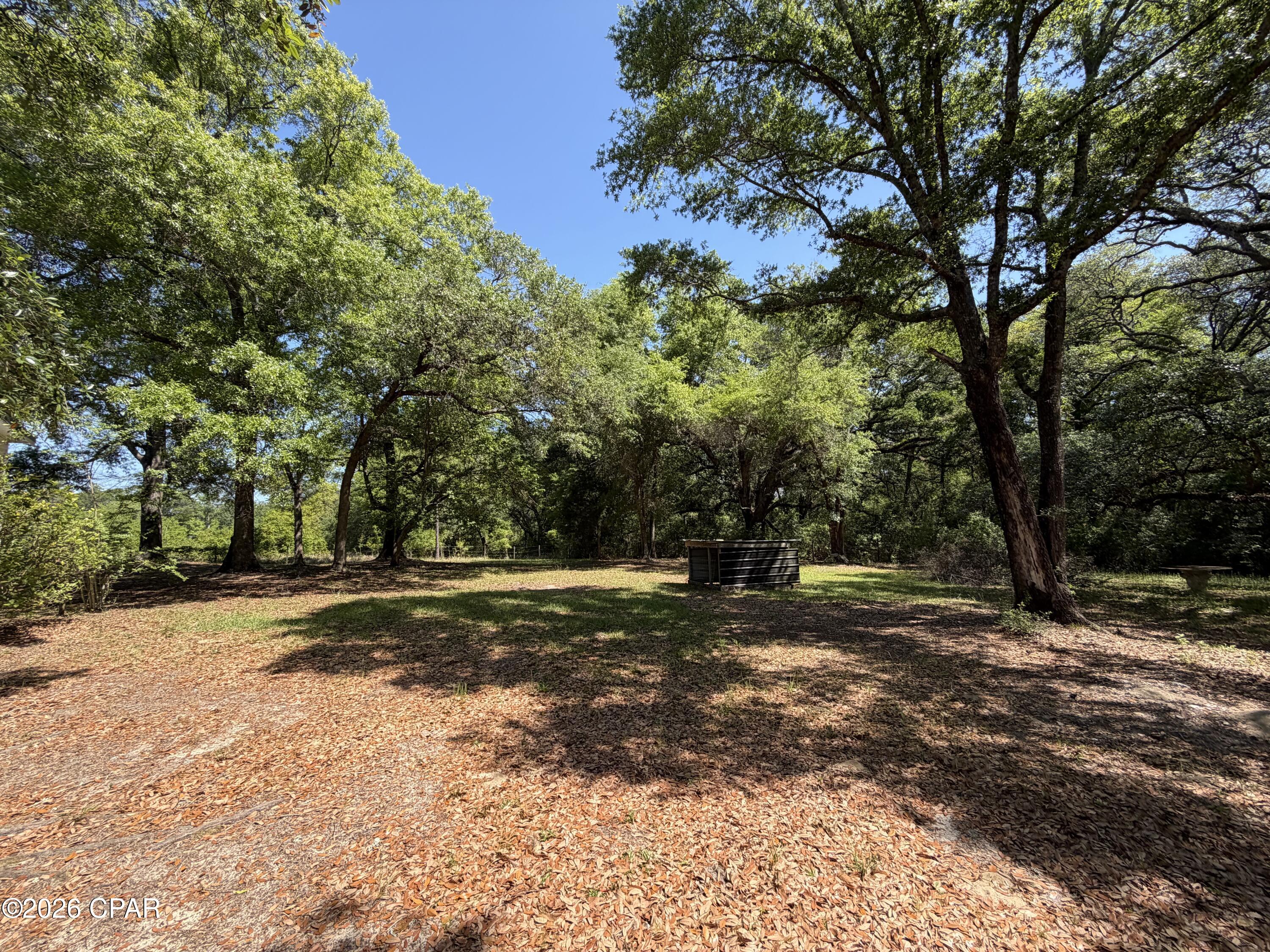 2839 Beall Packing Road Bonifay, FL 32425 - Photo 6 of 21